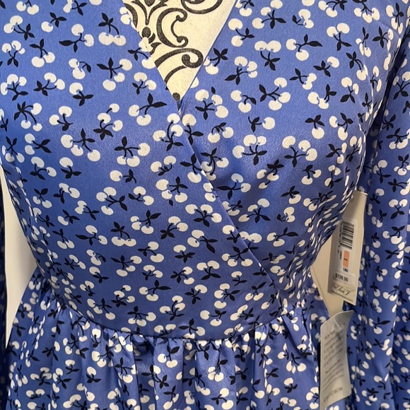 Eliza J floral ruffle l/s pockets dress blue white cherry design size 2 - Picture 2 of 6